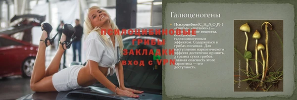 mdma Богородицк